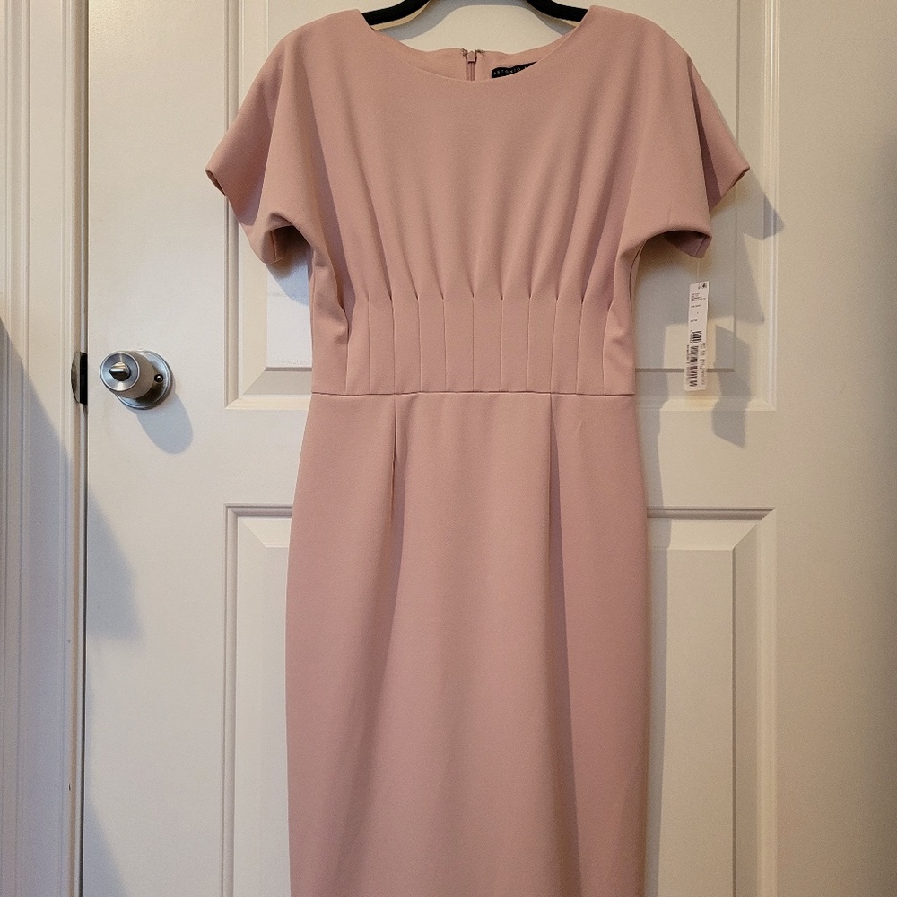 NWT! Antonio Melani Sheath Dress, Pink, Size 6